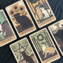 Карти Таро Cats Rule the Earth Tarot на 78 карт, котяча колода для натхнення, саморефлексії та подарунка